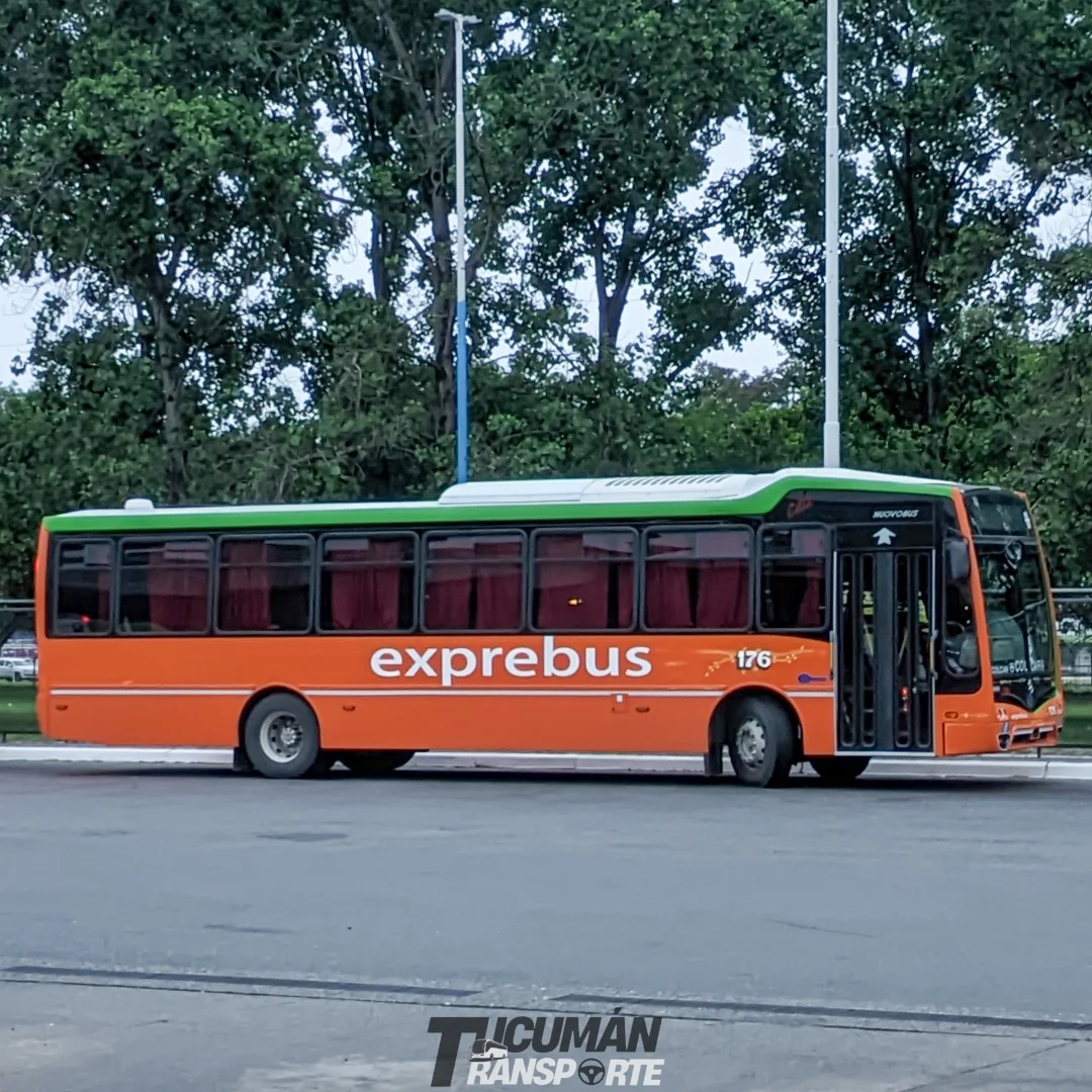 - Los nuevos 0km de Exprebus luciendo fileteados en sus carrocerías.•-------------------•🚍 Ser