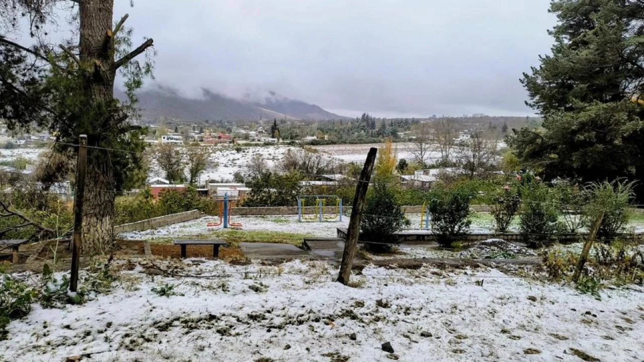 nevvvotafi_large